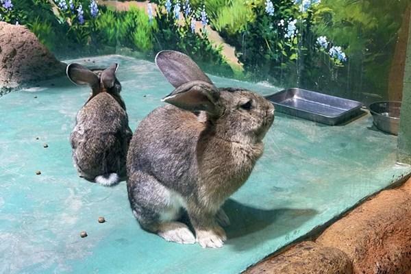 东湖魔兽城堡游玩日记3