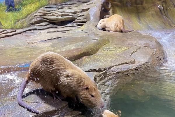 东湖魔兽城堡游玩日记4