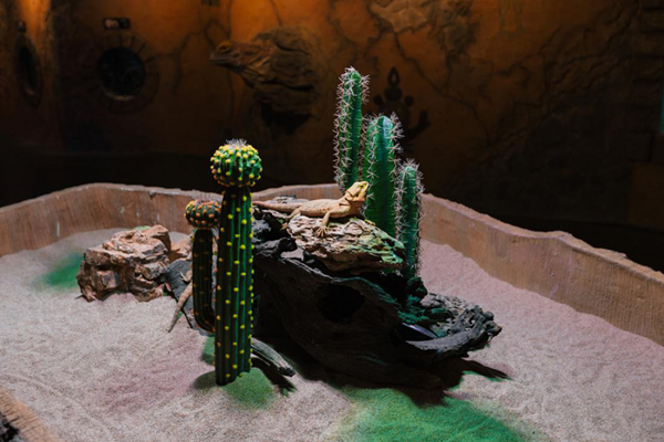 东湖魔兽城堡游玩日记5