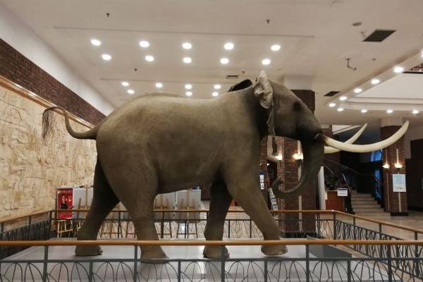 大连自然博物馆地址在哪 在哪个地方2