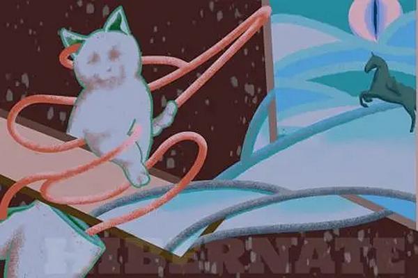 深圳寻找薛定谔的猫插画展怎么样附游玩攻略3