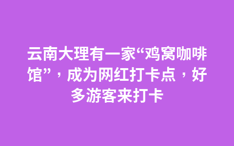 云南大理有一家“鸡窝咖啡馆”,成为网红打卡点,好多游客来打卡1