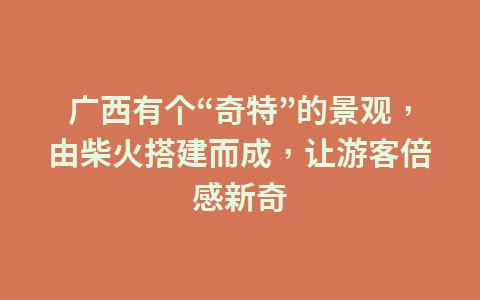 广西有个“奇特”的景观,由柴火搭建而成,让游客倍感新奇1