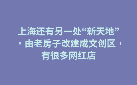 上海还有另一处“新天地”，由老房子改建成文创区，有很多网红店1