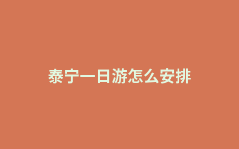 泰宁一日游怎么安排1