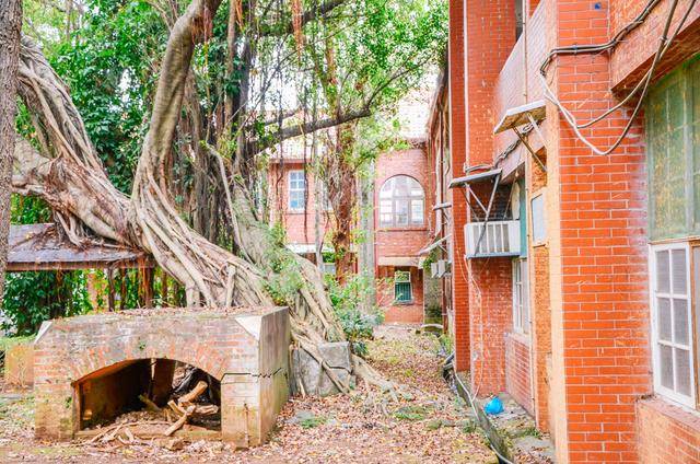 一起去周杰伦的母校看一看吧，看电影里同款场景4