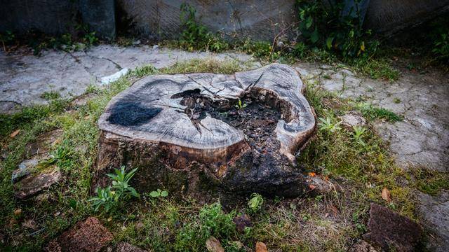 这个地方景色太美了,郴州人一定要去看看,还可以感受历史文化8