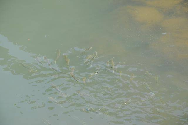 日本小众冷门景点，这个海边城市竟然还有一个堡垒21