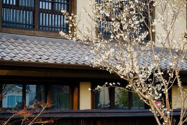 无锡清明节去哪里玩比较玩比较好2