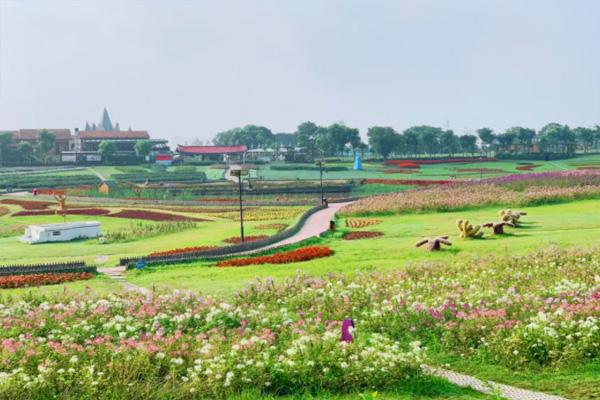 武汉露营过夜地点推荐 最佳20222