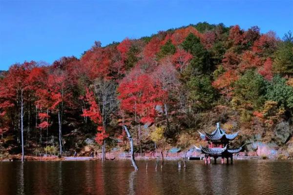 武汉露营过夜地点推荐 最佳20223