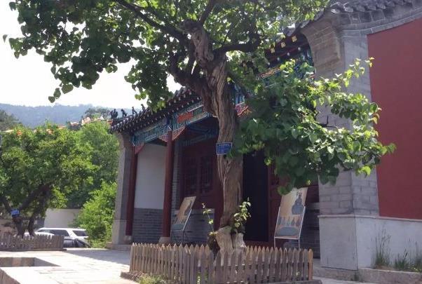 济南灵岩寺一日游攻略2