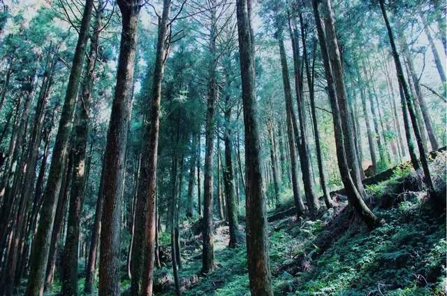 宝岛台湾——每个人深藏在内心的旅游清单3