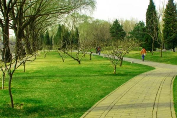 2022北京清明节踏青游玩路线推荐3