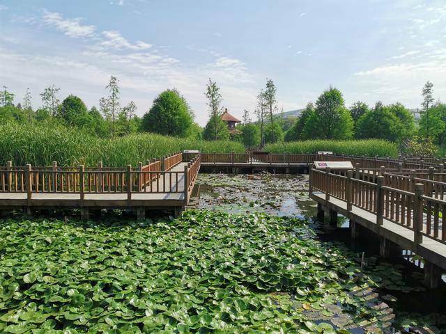 厦门一座迷人的公园，内藏超好玩的水上迷宫，地铁直达且不收门票2