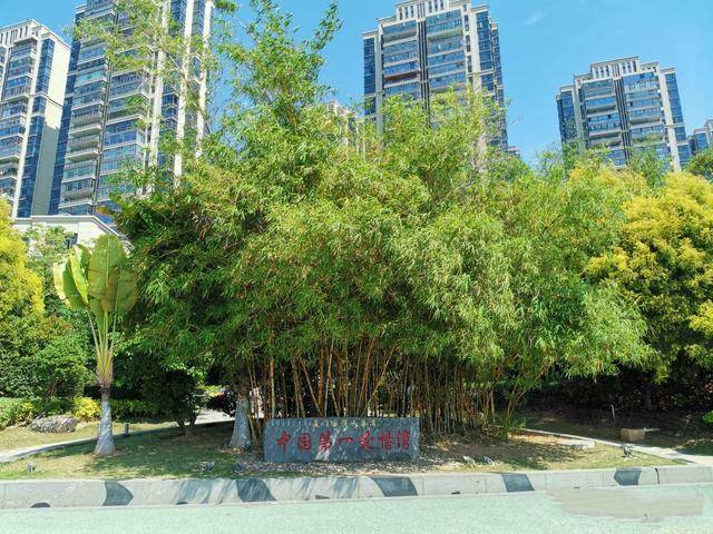 厦门一座迷人的公园，内藏超好玩的水上迷宫，地铁直达且不收门票3