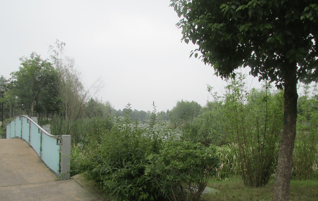 常州又迎来一“新公园”,占地4.5万平方米,未来将提升周边房价2