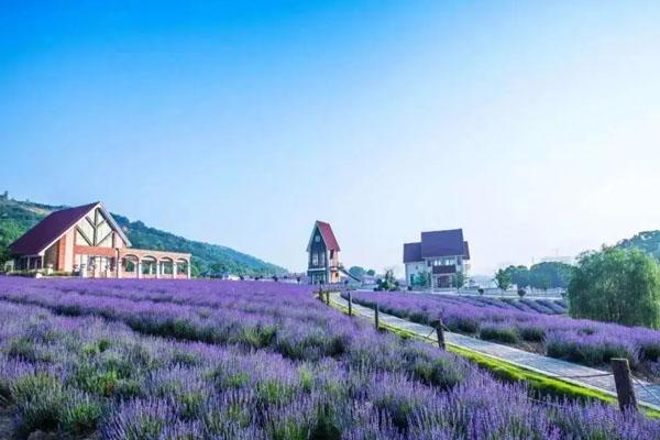 无锡爬山哪里比较好 爬山攻略3