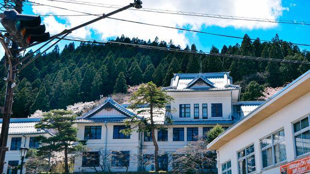 日本旅游，如果不来日光，感觉真的差了很多12