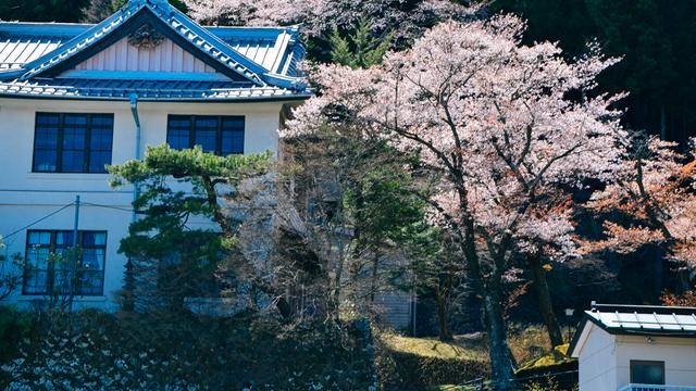 日本旅游，如果不来日光，感觉真的差了很多13