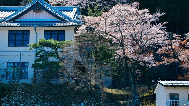 日本旅游，如果不来日光，感觉真的差了很多14