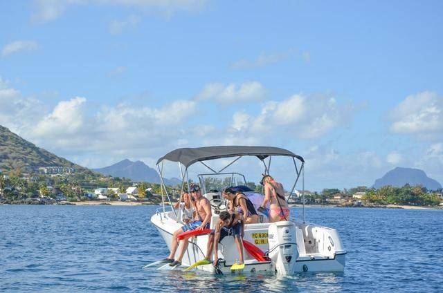 非洲版的《海豚湾》,来这个岛国跳下海就能看到海豚,太刺激了1