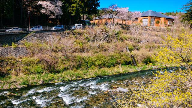 日本旅游，如果不来日光，感觉真的差了很多22