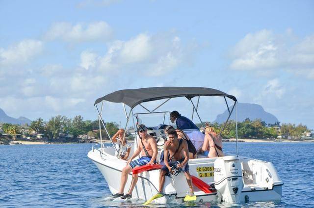 非洲版的《海豚湾》,来这个岛国跳下海就能看到海豚,太刺激了2
