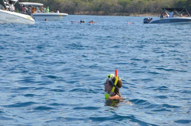 非洲版的《海豚湾》,来这个岛国跳下海就能看到海豚,太刺激了4