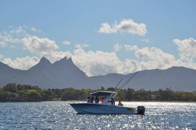 非洲版的《海豚湾》,来这个岛国跳下海就能看到海豚,太刺激了5
