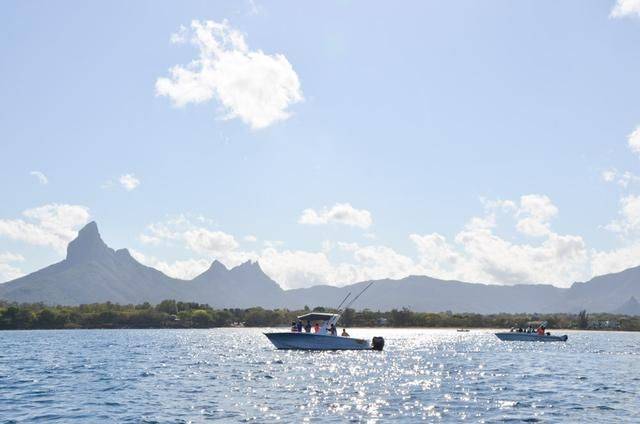 非洲版的《海豚湾》,来这个岛国跳下海就能看到海豚,太刺激了6