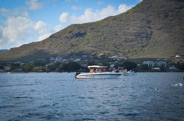 非洲版的《海豚湾》,来这个岛国跳下海就能看到海豚,太刺激了7