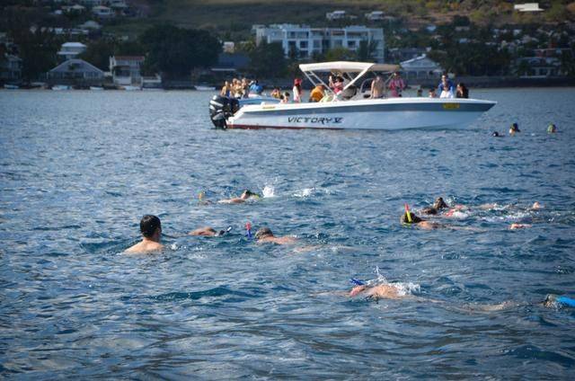 非洲版的《海豚湾》,来这个岛国跳下海就能看到海豚,太刺激了8