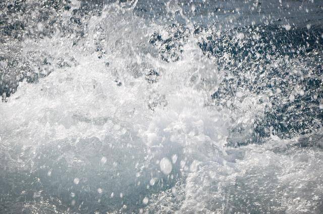 非洲版的《海豚湾》,来这个岛国跳下海就能看到海豚,太刺激了9