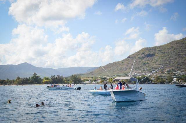 非洲版的《海豚湾》,来这个岛国跳下海就能看到海豚,太刺激了11