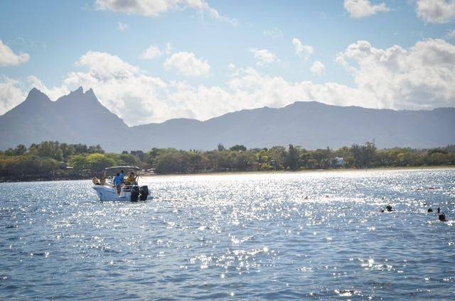 非洲版的《海豚湾》,来这个岛国跳下海就能看到海豚,太刺激了12