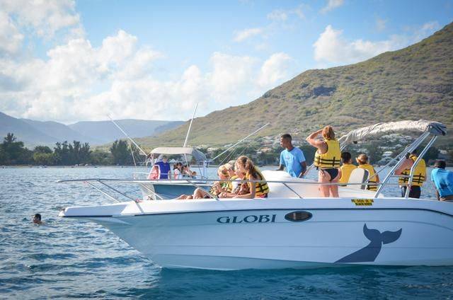 非洲版的《海豚湾》,来这个岛国跳下海就能看到海豚,太刺激了10