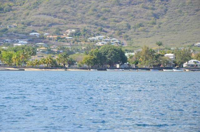 非洲版的《海豚湾》,来这个岛国跳下海就能看到海豚,太刺激了15