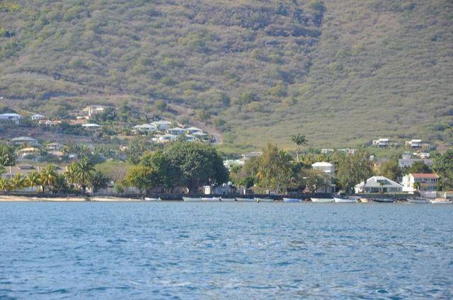 非洲版的《海豚湾》,来这个岛国跳下海就能看到海豚,太刺激了16