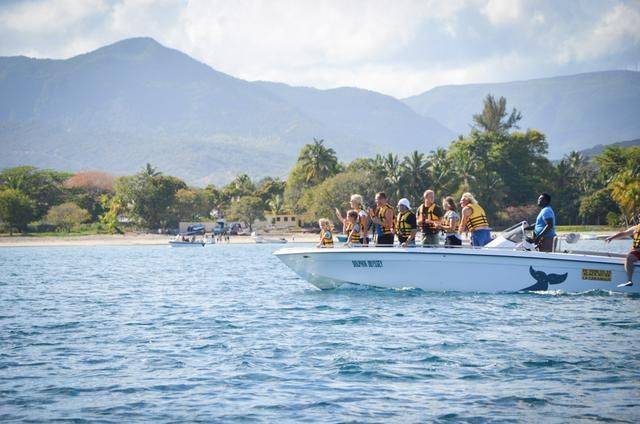 非洲版的《海豚湾》,来这个岛国跳下海就能看到海豚,太刺激了19