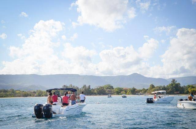 非洲版的《海豚湾》,来这个岛国跳下海就能看到海豚,太刺激了20
