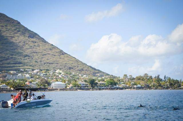 非洲版的《海豚湾》,来这个岛国跳下海就能看到海豚,太刺激了25