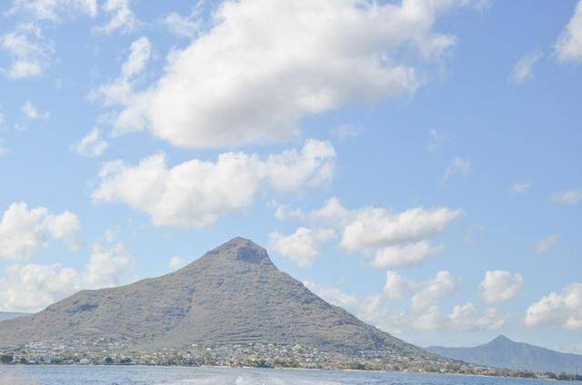 非洲版的《海豚湾》,来这个岛国跳下海就能看到海豚,太刺激了26