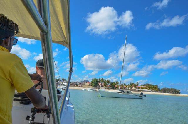 非洲版的《海豚湾》,来这个岛国跳下海就能看到海豚,太刺激了27