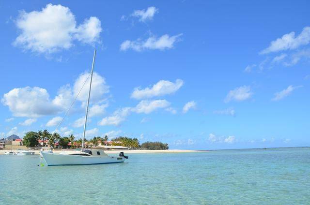 非洲版的《海豚湾》,来这个岛国跳下海就能看到海豚,太刺激了28