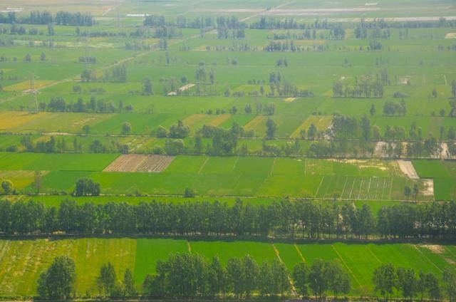 九华山怎么玩?看这篇攻略,保证你不吃亏4