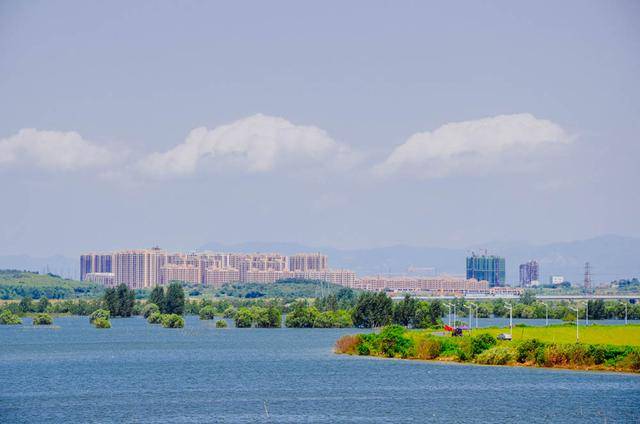 九华山怎么玩?看这篇攻略,保证你不吃亏5