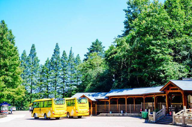 九华山怎么玩?看这篇攻略,保证你不吃亏7