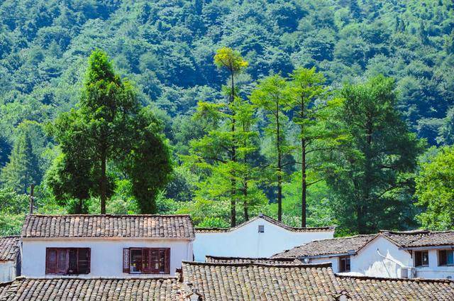 九华山怎么玩?看这篇攻略,保证你不吃亏14