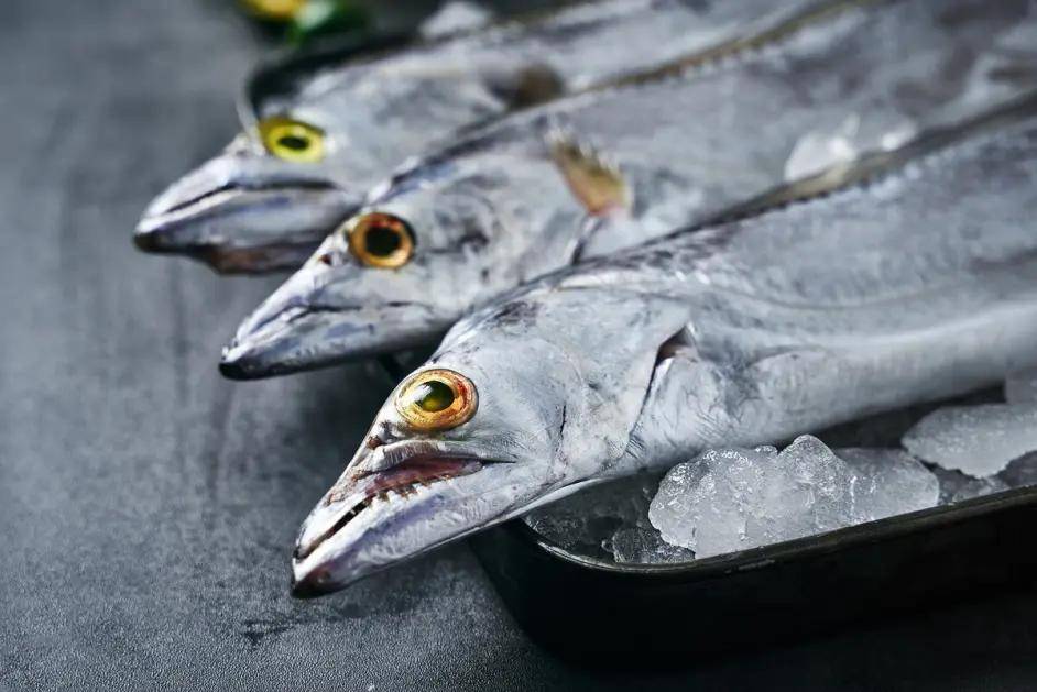 带鱼还没出水就自爆,但我们吃的带鱼为什么是完整的?原因很简单3